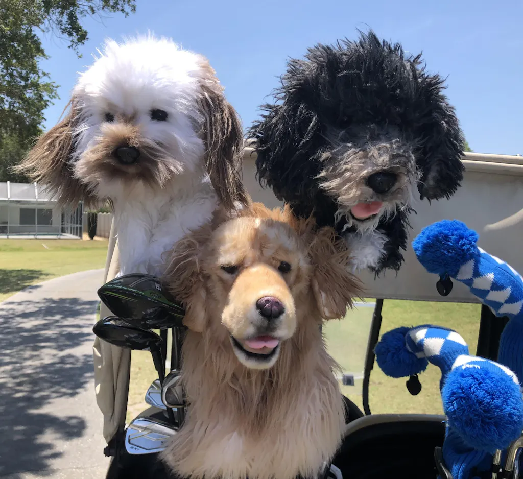 Custom Golf Headcovers Handcrafted Custom Dog Cat Or Pet Head Covers custom-golf-headcovers-handcrafted-custom-dog-cat-or-pet-head-covers