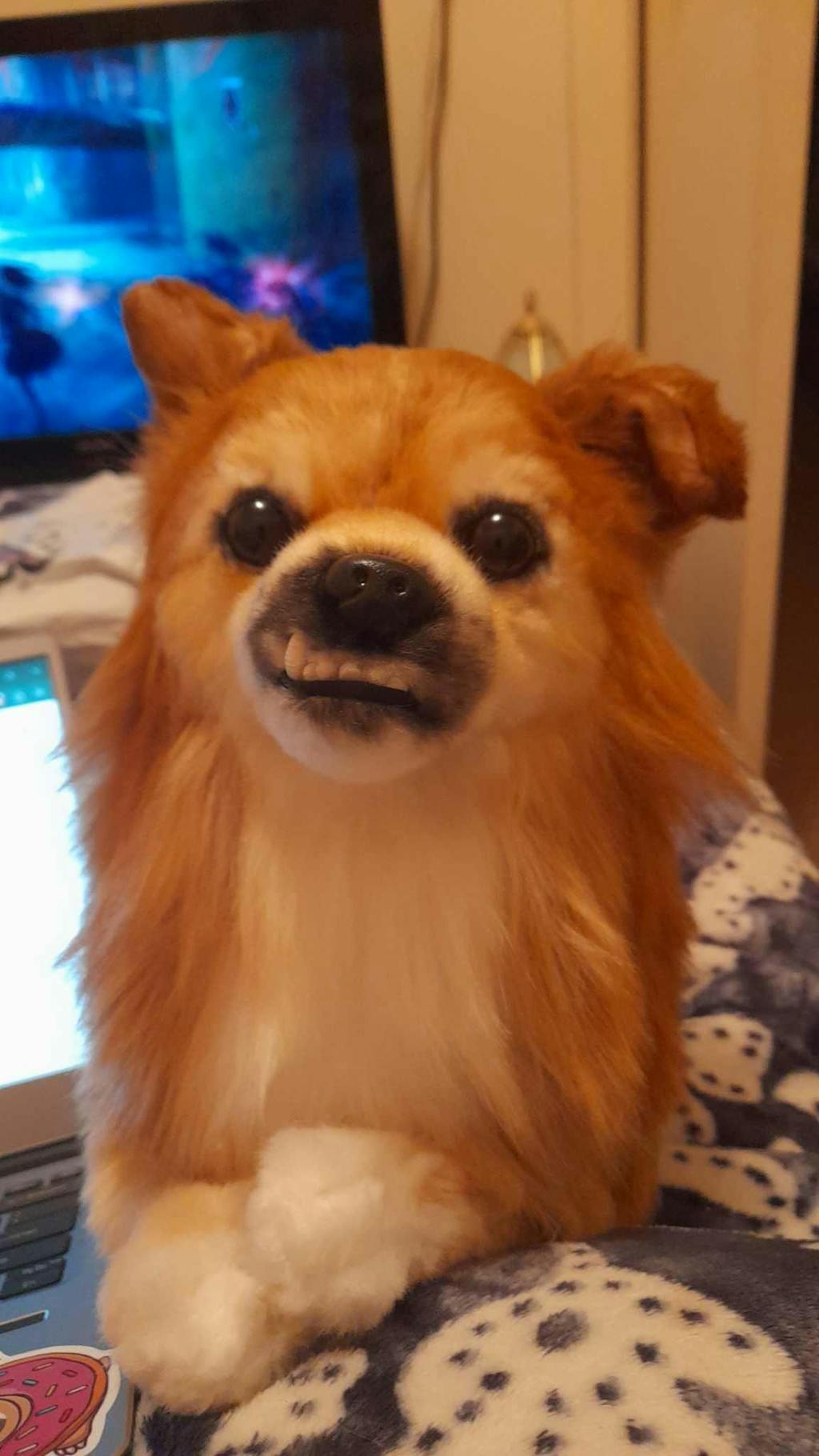 Product Reviews Cuddle Clones