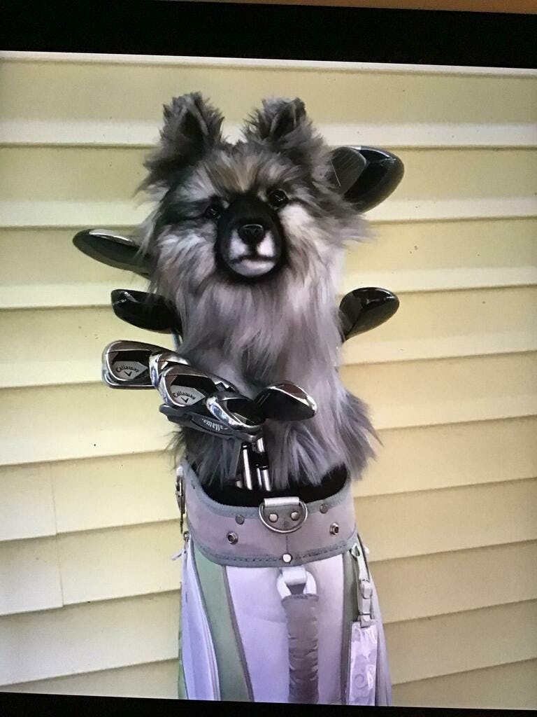 Custom Golf Headcovers Handcrafted Custom Dog, Cat or Pet Head Covers