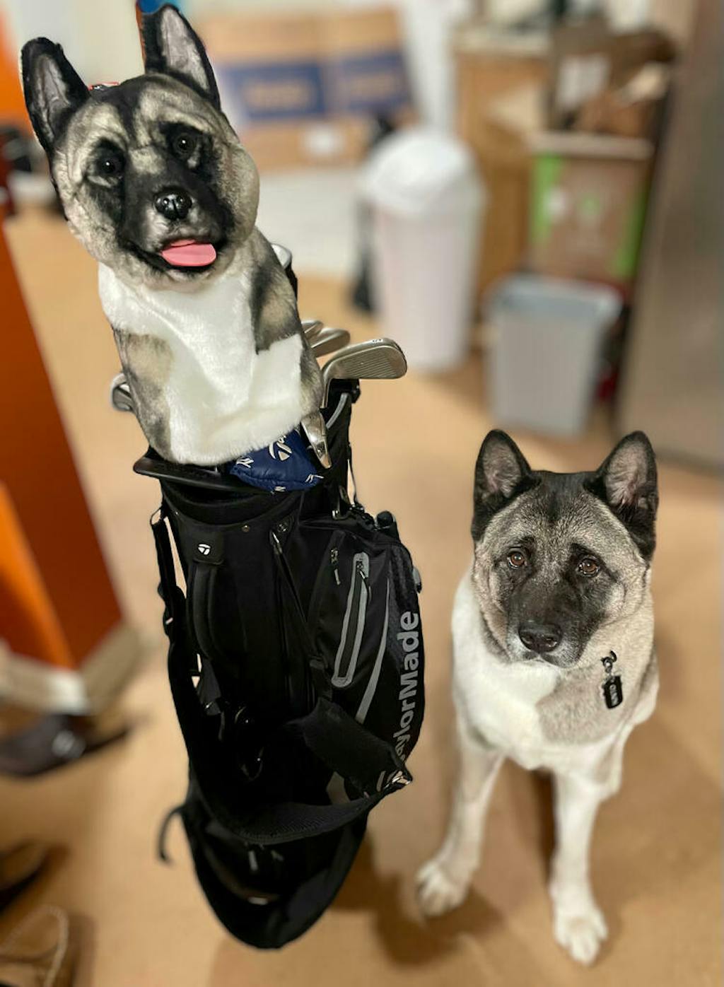 Custom Golf Headcovers Handcrafted Custom Dog, Cat or Pet Head Covers