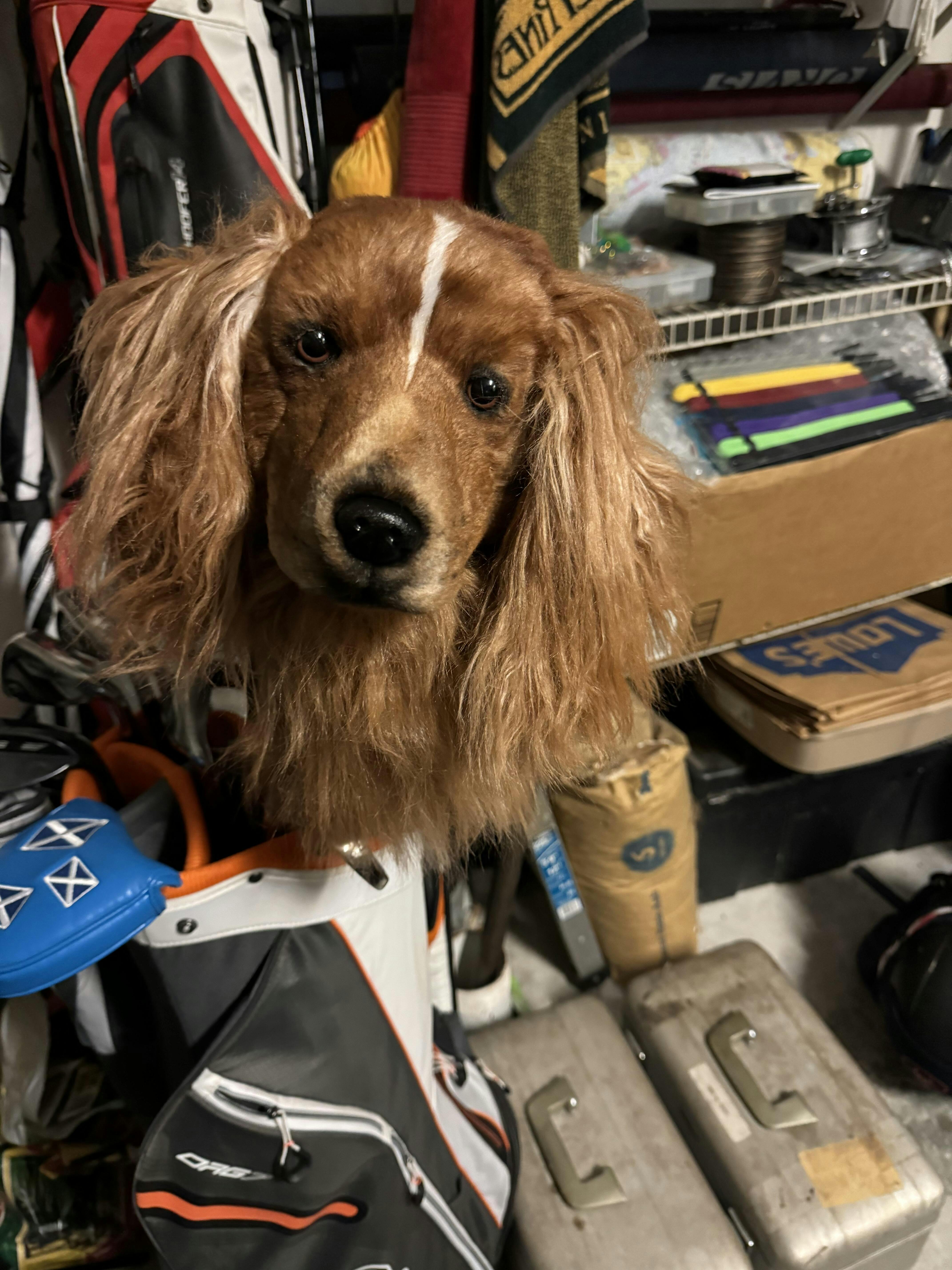 Custom Golf Headcovers Handcrafted Custom Dog, Cat or Pet Head Covers