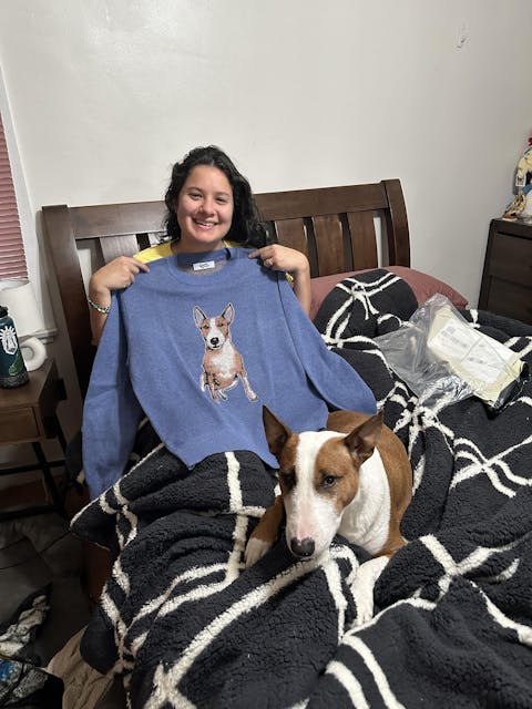 Custom Knit Pet Sweater