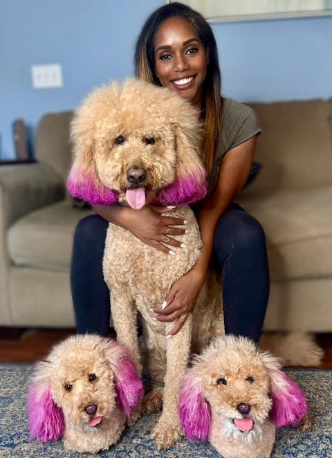 Plush Slippers