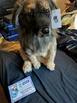 User picture