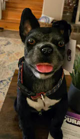 User picture