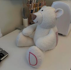 Review picture Review picture