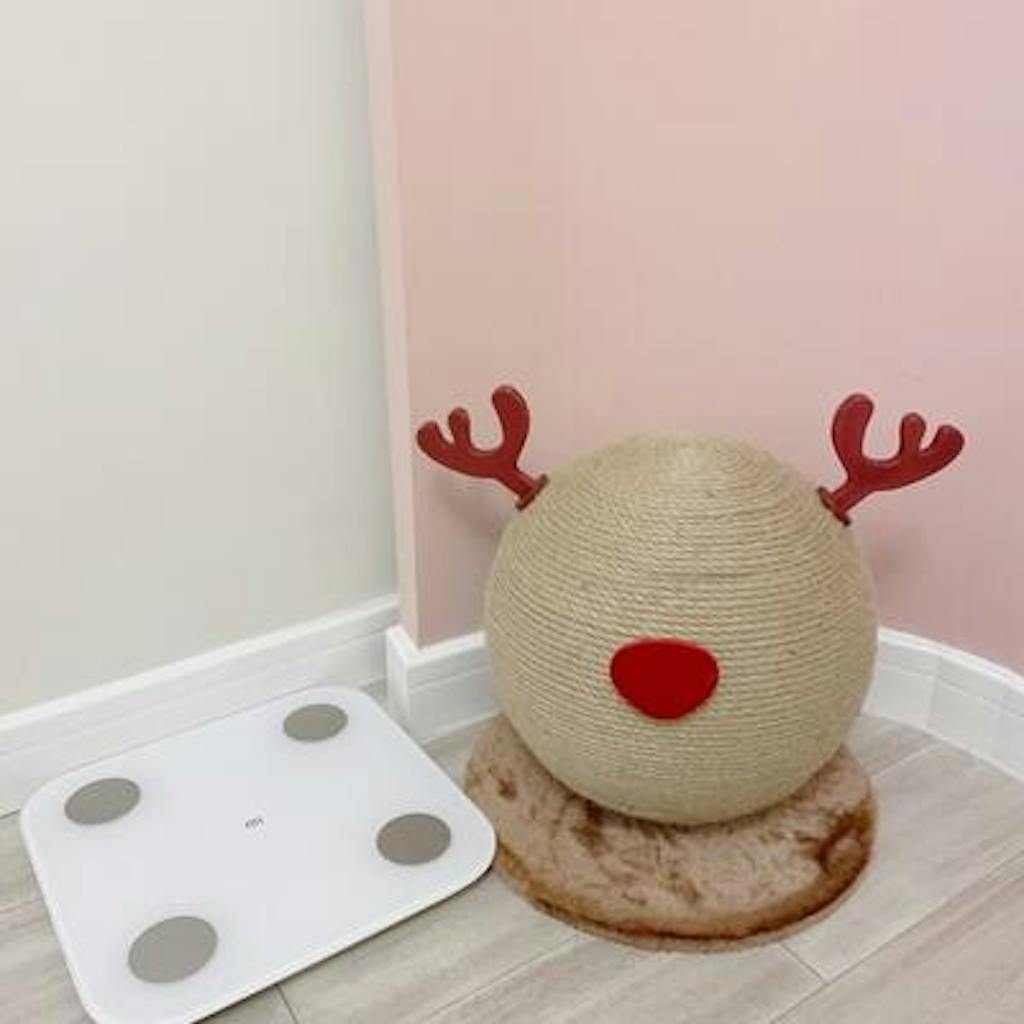 Reindeer Scratcher
