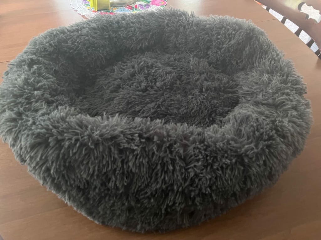 Cat Cloud Bed