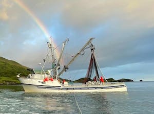 150 Watt Walkable Semi-Rigid Solar Panel - PERC Cells