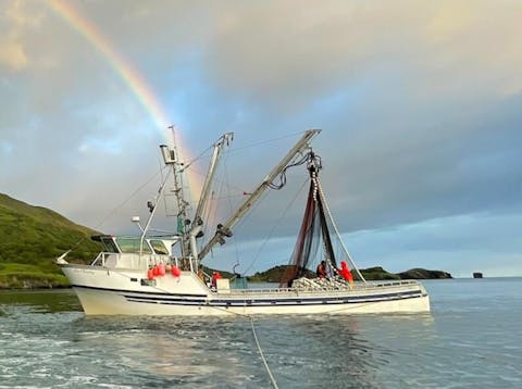 150 Watt Walkable Semi-Rigid Solar Panel - PERC Cells