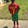 Kids Cristiano Ronaldo Portugal Soccer Jersey Home Toddler & Youth Sizes