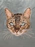 Custom Embroidered Pet Portrait Velvet Cushion