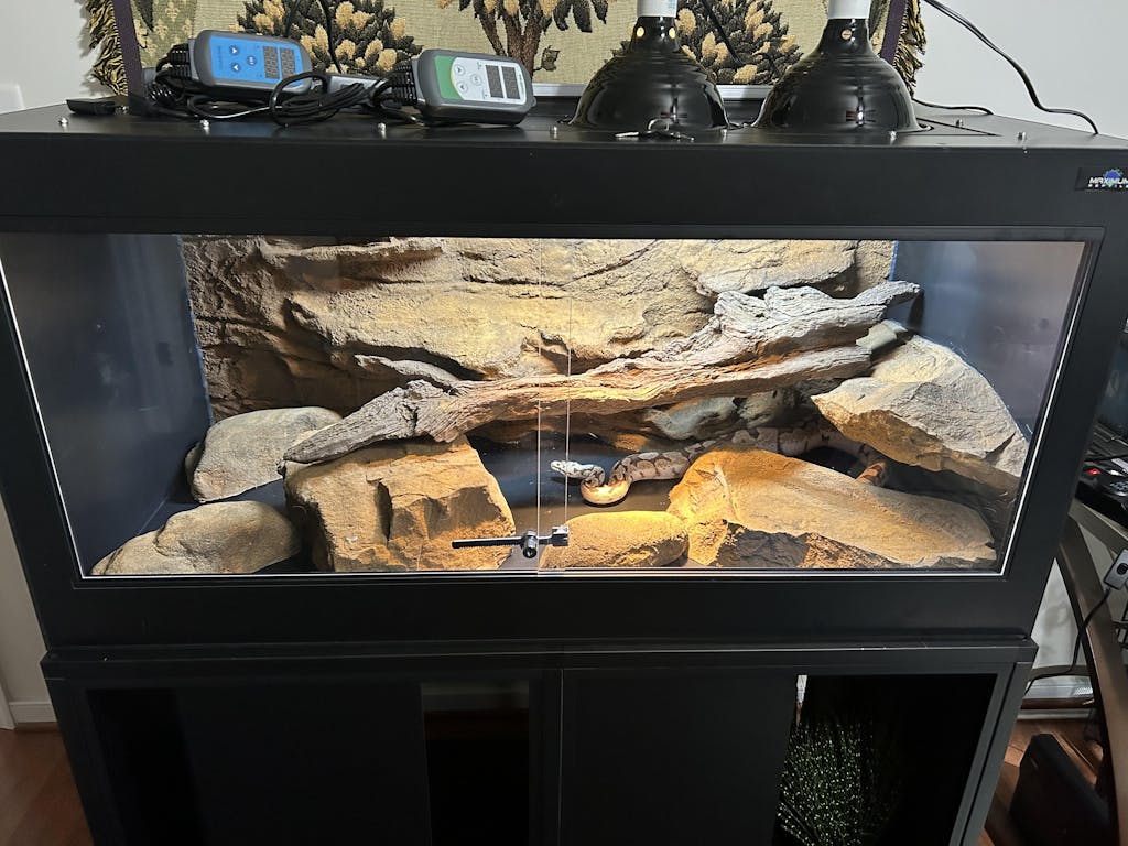 Complete Ball Python Kits