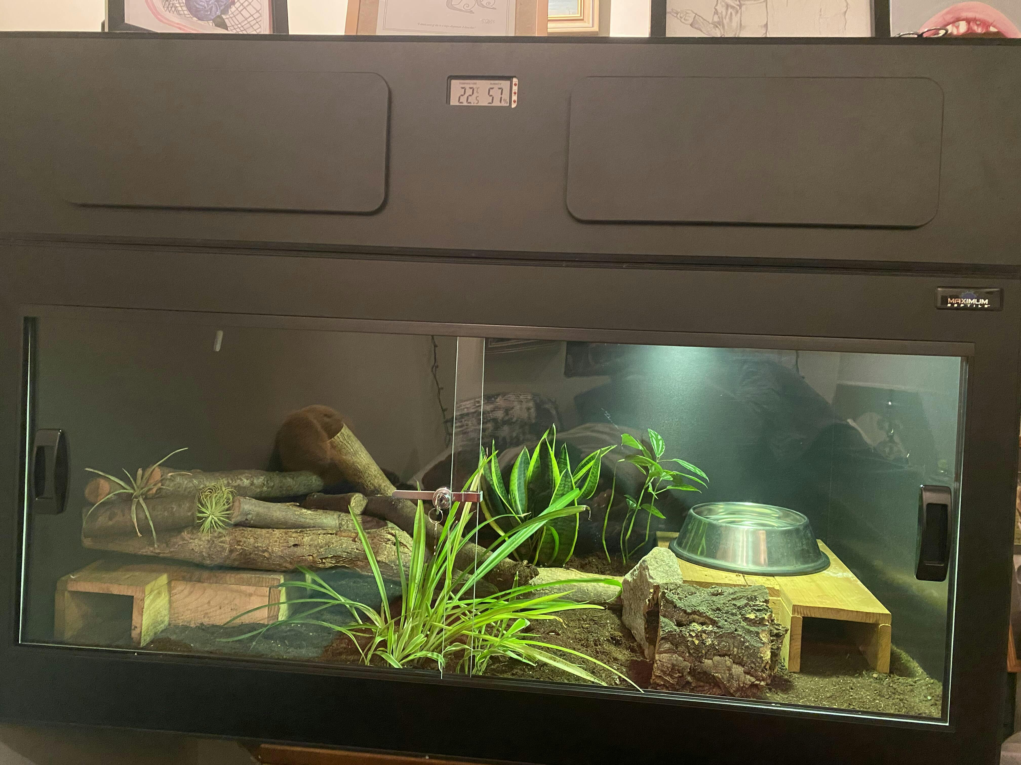 Evolution 4 PVC Reptile Enclosure - 24 W x 24 H – CustomReptileHabitats.com