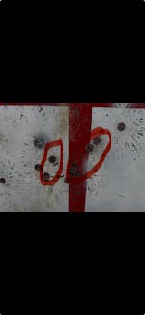 .510 850gr SINGLE FEED Lazer - Tipped Hollow Point - SPECIAL ORDER-50ct