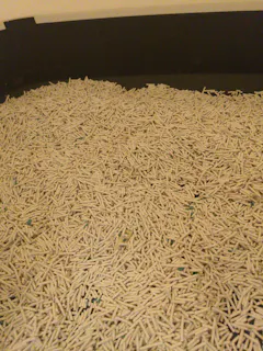 Review picture