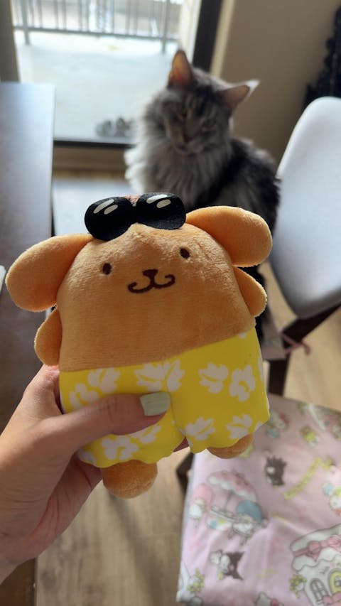 POMPOMPURIN Avail Sanrio Characters "Hawaiian Style" Plush Mascot Keychain