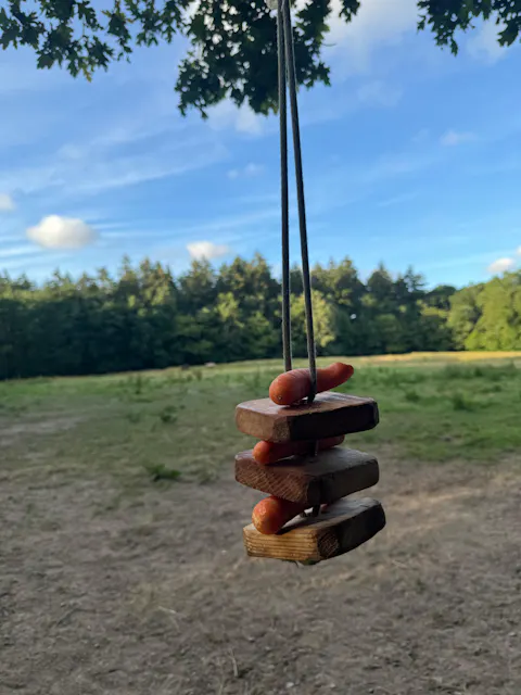 Dynamique Swing  Jouet d'enrichissement à suspendre