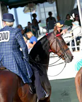 Women's Saddle Seat Jods