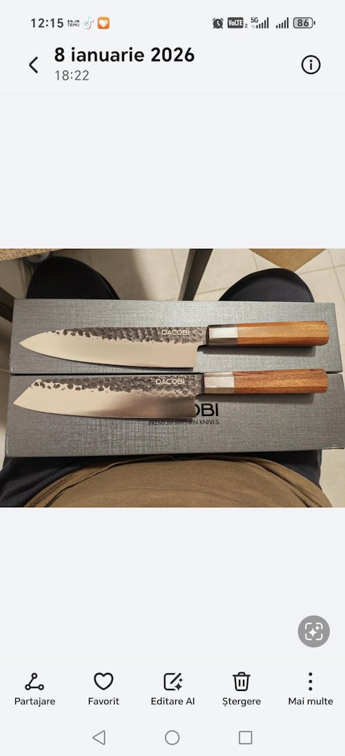 Cuțit Profesional Gyuto, oțel inoxidabil (C43)