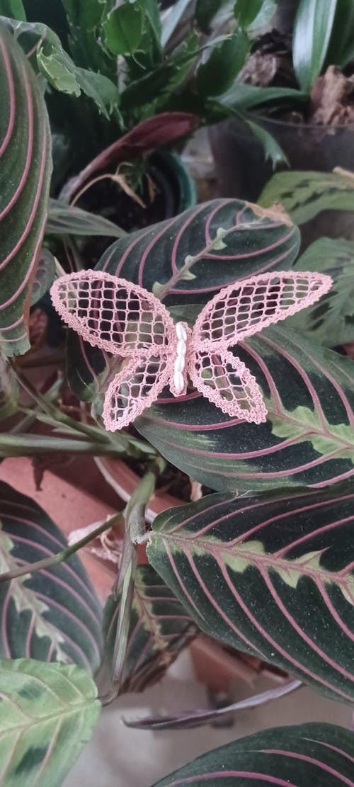 Pink Butterfly Bobbin Lace Pattern 