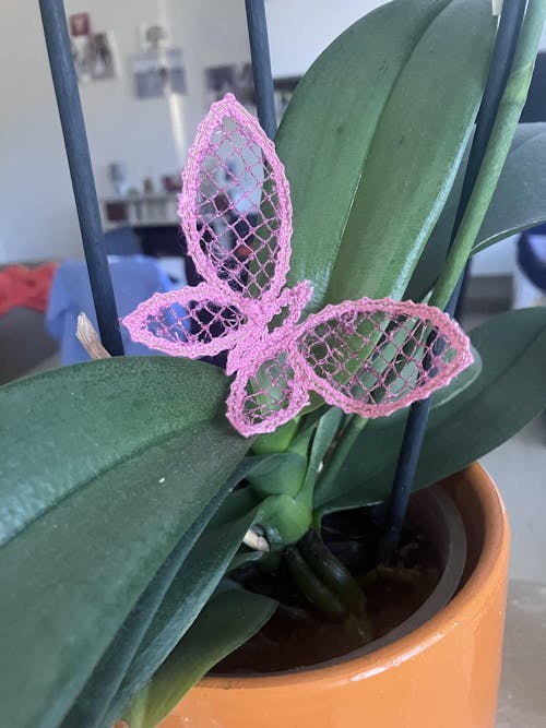 Pink Butterfly Bobbin Lace Pattern 