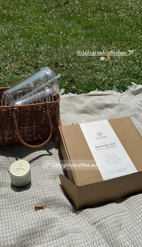 Matcha Bundel