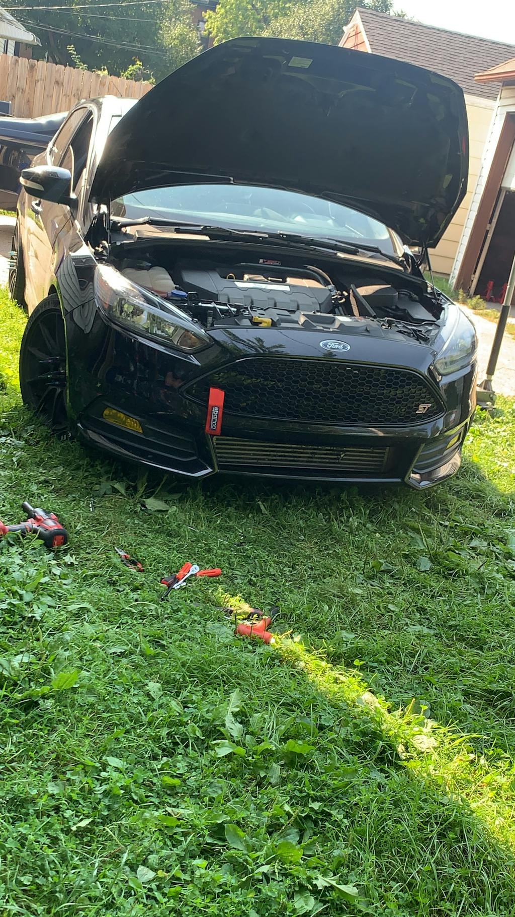 Focus ST Tow Strap Damond Motorsports