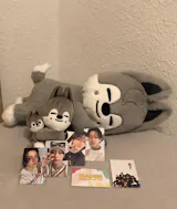 User picture