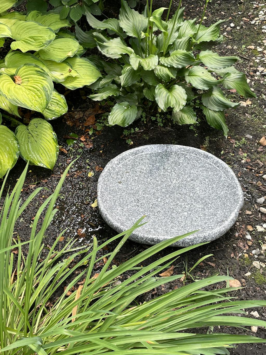 Handmade Quarried Granite Bird Bath Dances With Stone