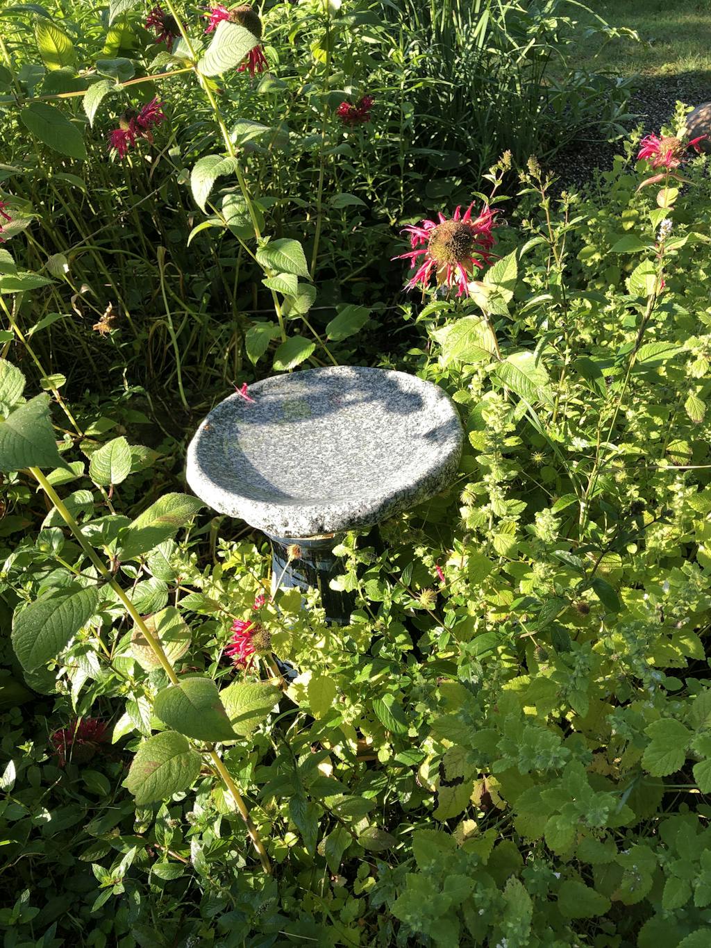 🤩New🤩 Granite Bird Bath, Handcrafted in New Hampshire, Four Different