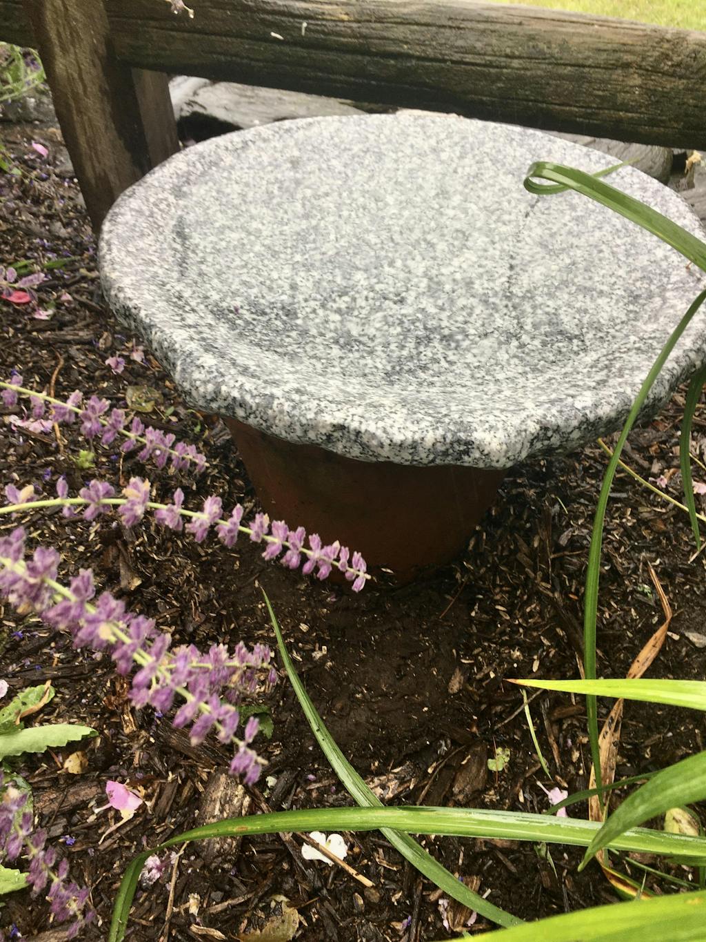 Our Favorite Granite Bird Bath, Made in New Hampshire, Four Different