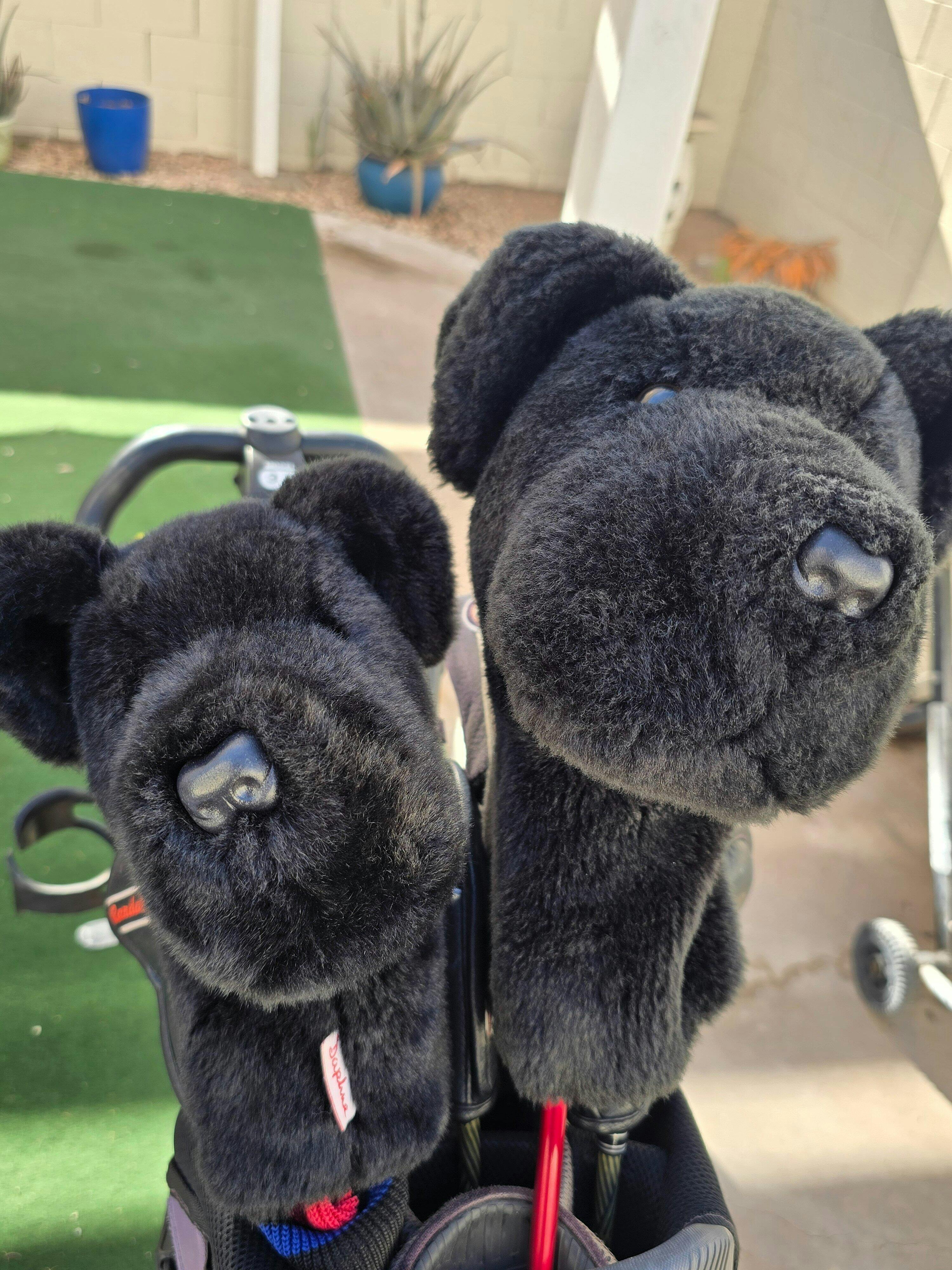 Black Lab Headcover - Daphne's Headcovers