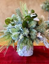 Mixed Winter Greenery & Pinecone Rustic Arrangement in White Birch Cyl –  Darby Creek Trading