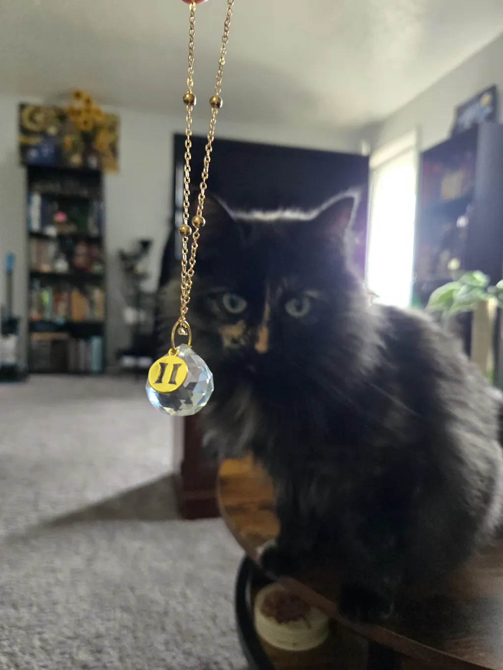 Zodiac Car Suncatcher - Mirror Charm