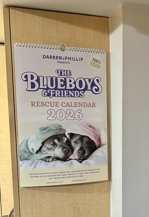 The Blueboys & Friends Rescue Calendar 2026