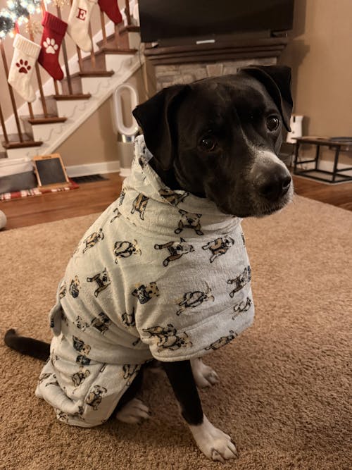 Dog Lounge Robe | Preppy Pups