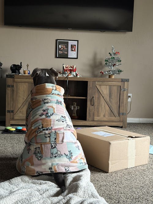 Dog Lounge Robe | Rescue Ranch