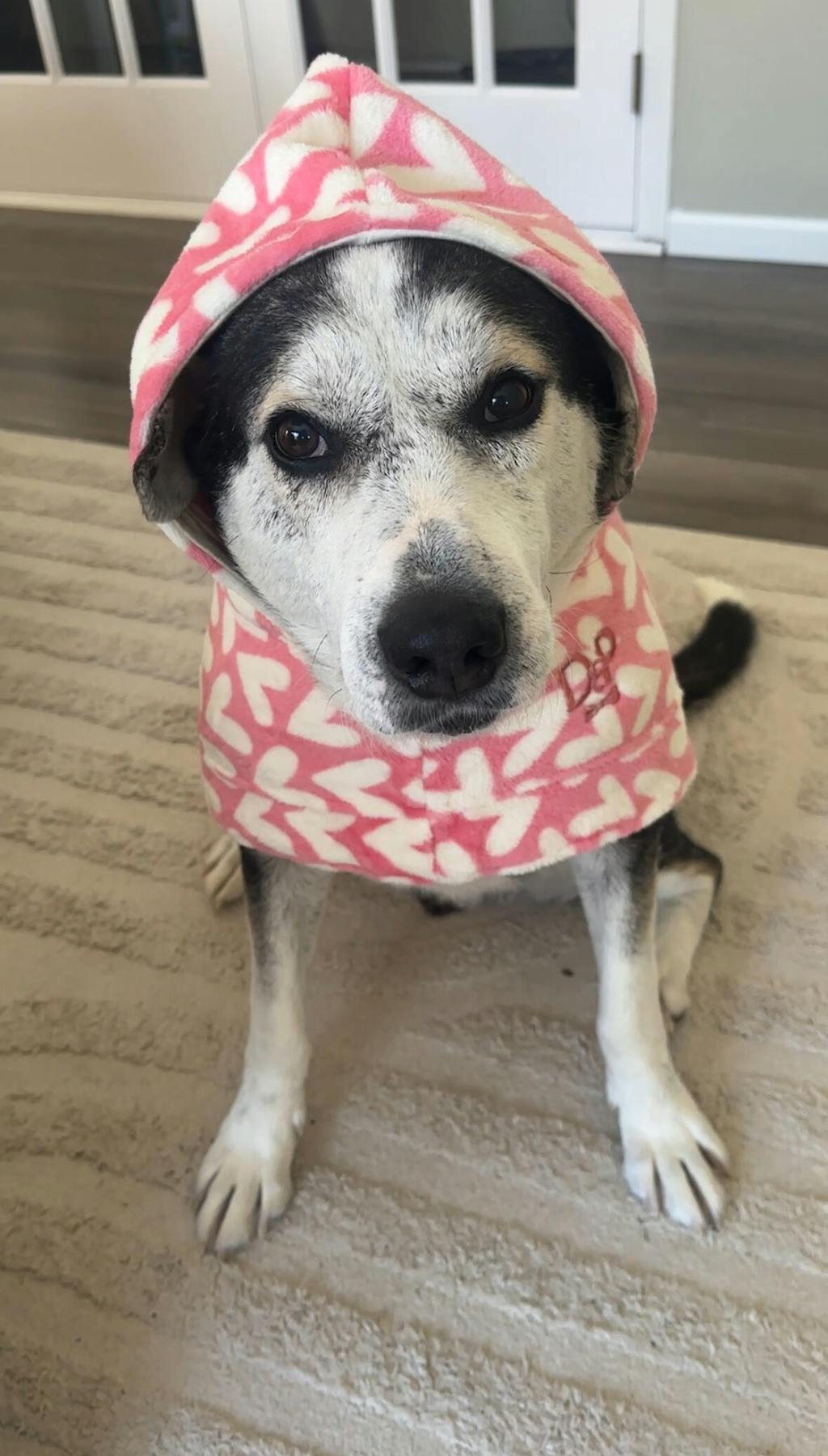 Dog Lounge Robe | Puppy Love