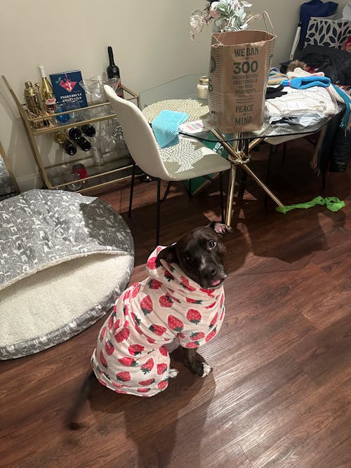 Dog Lounge Robe | Cutie Frutti, Strawberry