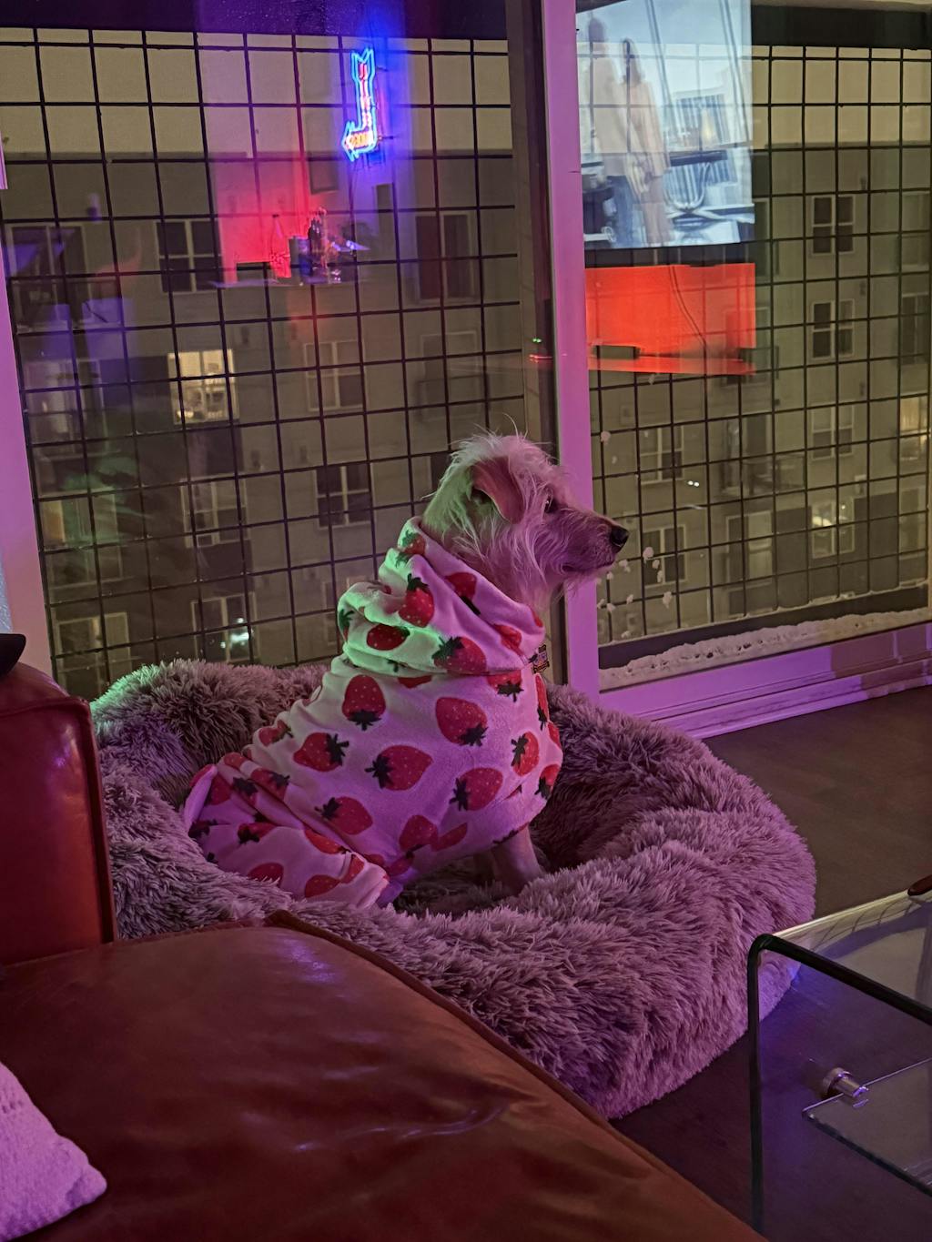 Dog Lounge Robe | Cutie Frutti, Strawberry