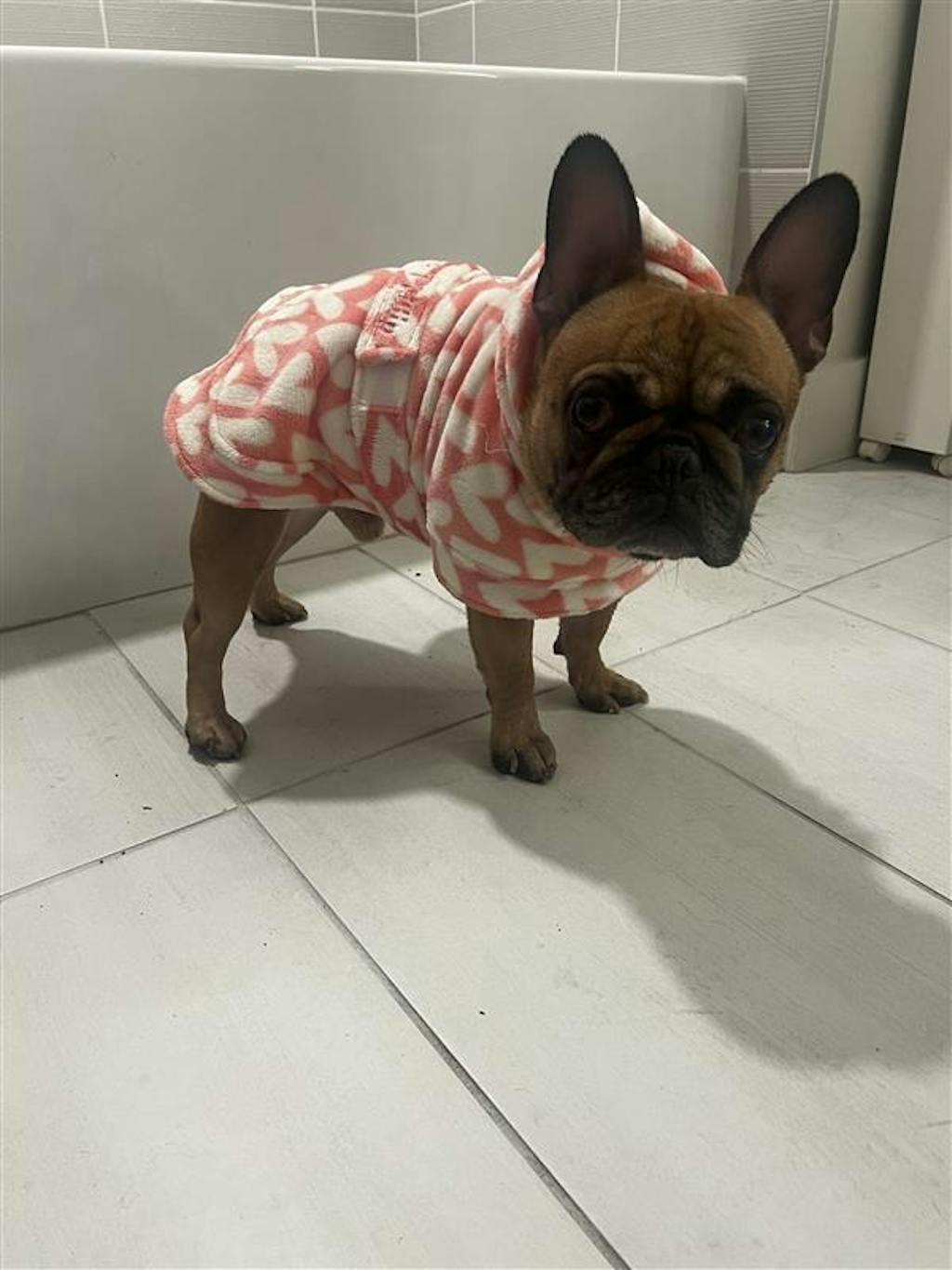 Dog Lounge Robe | Puppy Love