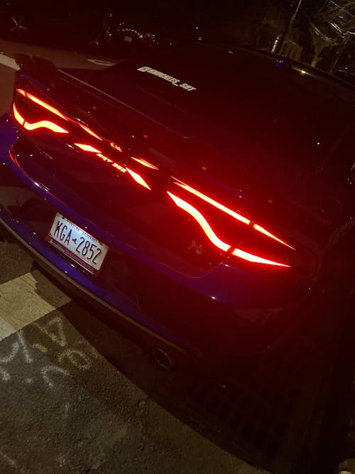 15-23 Dodge Charger Taillight Decal Design 3