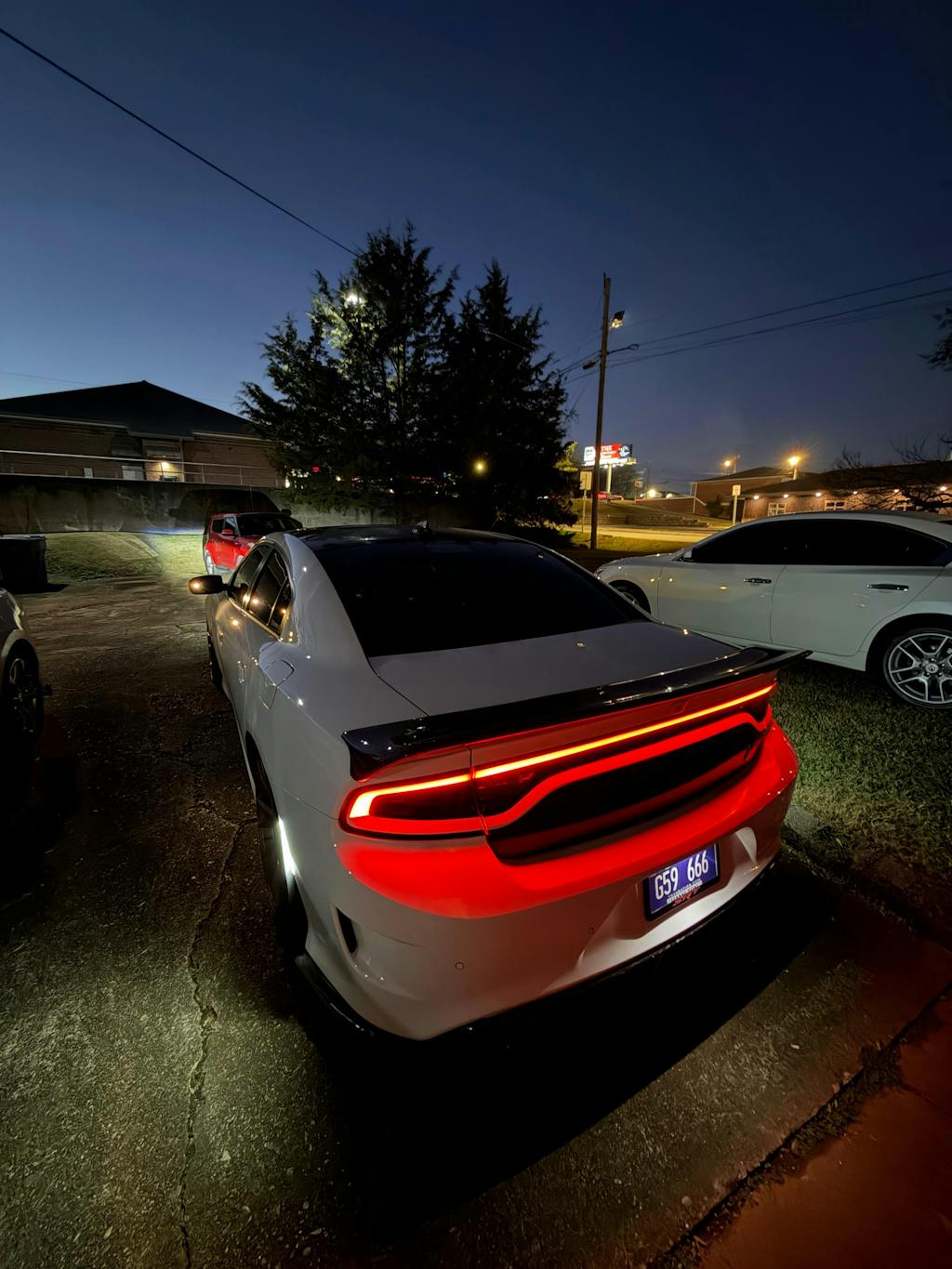 15-23 Dodge Charger Colored Taillight Tint Decal