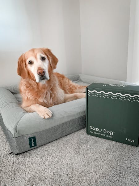 Luxury Memory Foam Dog Bed