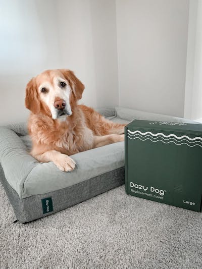 Replacement Covers for Luxury Dog Beds