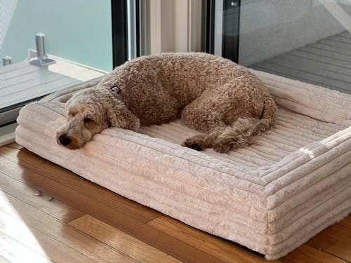 Cover - Boucle Ivory