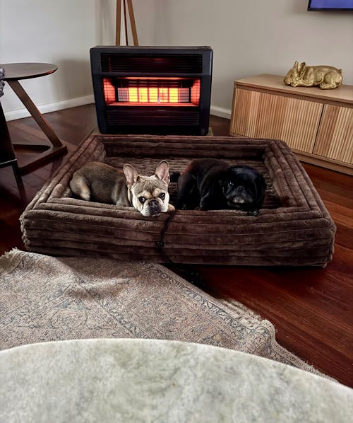 Memory Foam Dog Bed - Puffer Truffle