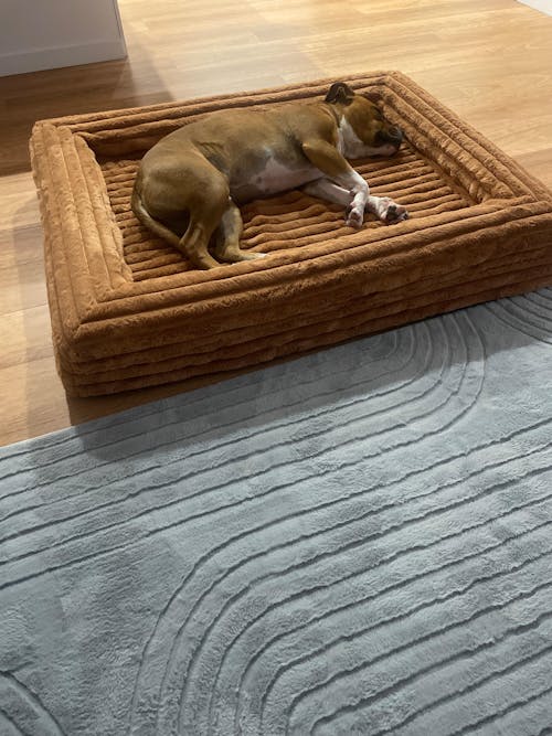 Cover - Puffer Nutmeg