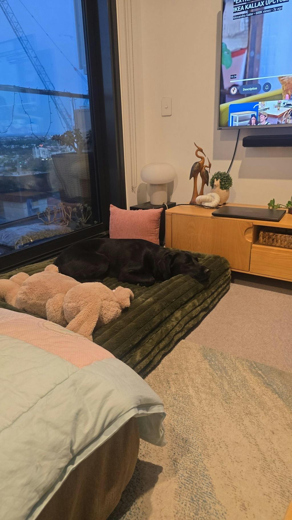 Memory Foam Dog Bed - Noodle Rust